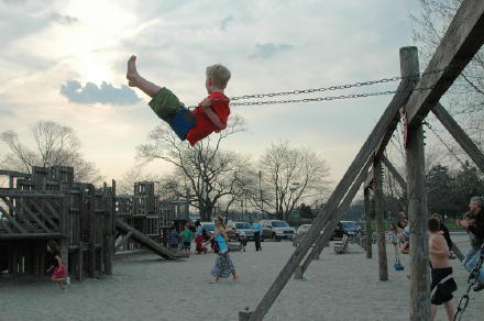 composwing04210504.jpg