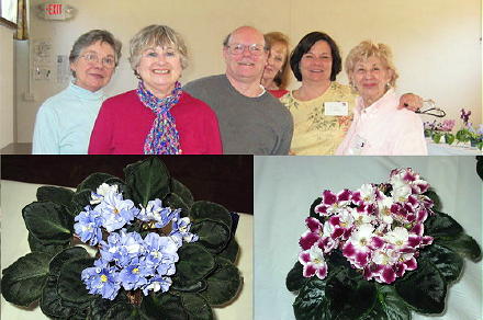 flowercomb04180501.jpg