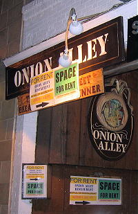 onion01070404.jpg