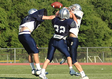 shsbluewhite06200503.jpg
