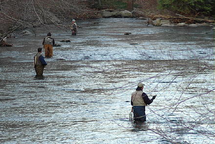 troutfishing04160501.jpg