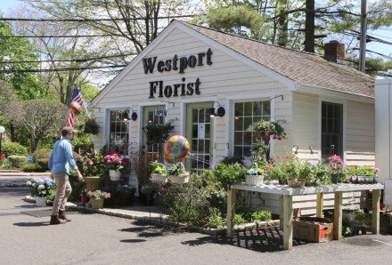 WestportNow.com Image