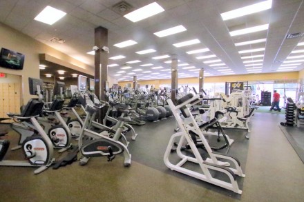 WestportNow.com Image
