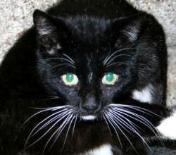 Billy