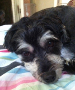 Edgar