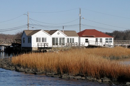 WestportNow.com Image