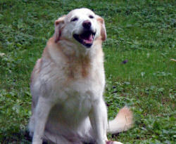 Lilly