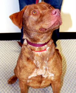 Matilda is Seeking a Family to Love