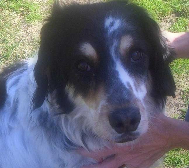 Max