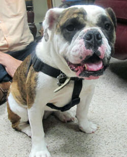Roxie