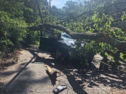 Car smashed by tree during Isaias removed after more than five days - 14 Charcoal Hill Road