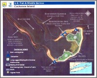 WestportNow.com Image