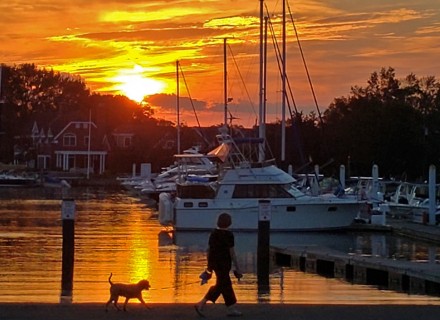 WestportNow.com Image