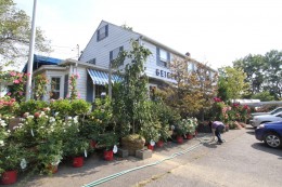 WestportNow.com Image