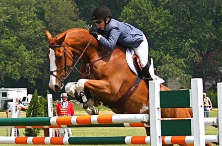 WestportNow.com Image