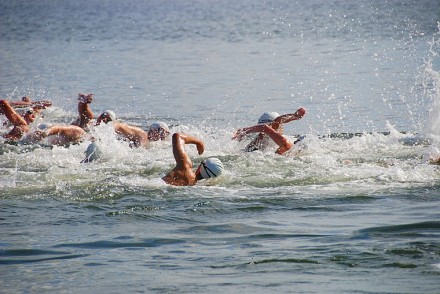 WestportNow.com Image