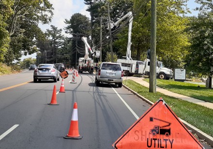 Tree on Post Road West gets cleared