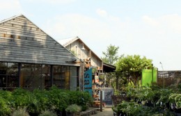 WestportNow.com Image