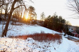 WestportNow.com Image