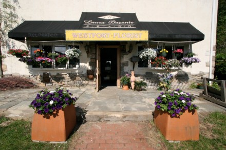 WestportNow.com Image